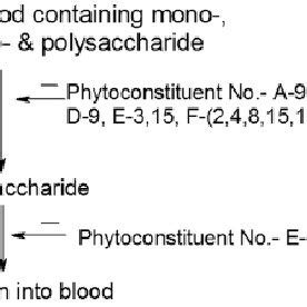 Regulation of carbohydrate metabolism by phytoconstituents. | Download ...