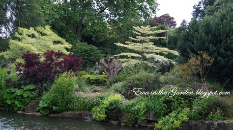 Ewa in the Garden: 15 photos of the Top Rose Garden in London