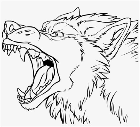 Angry Anime Wolf Drawing