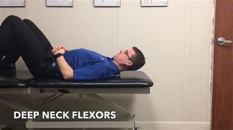 Deep Neck Flexors Youtube