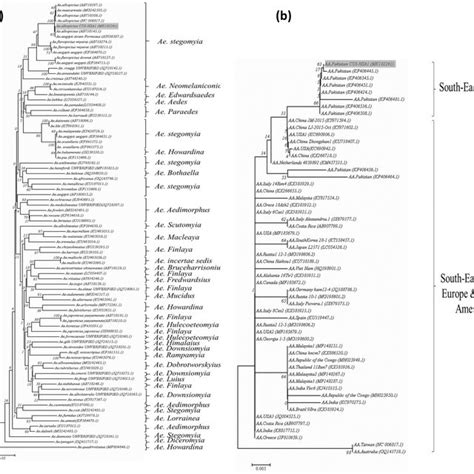 Neighbor Joining Nj Phylogenetic Trees Of Coxi Cytb And Its2 Regions