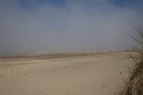 Castellated: Holkham Beach, Norfolk