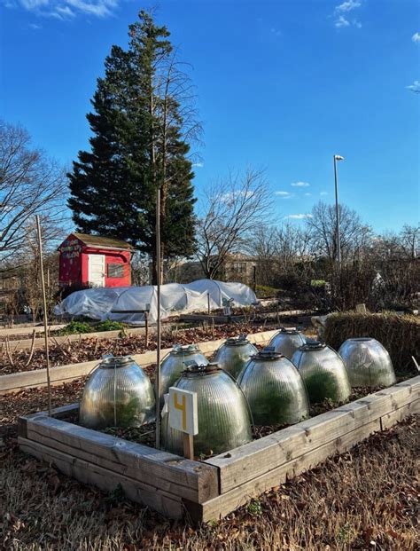 Uptown Community Garden Verdant Richmond