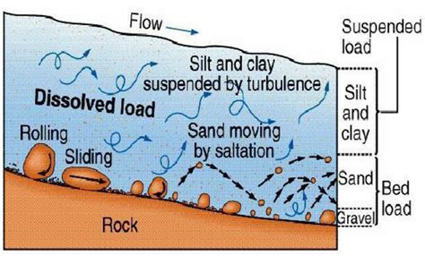 1 Movement Of Sediment Load Download Scientific Diagram