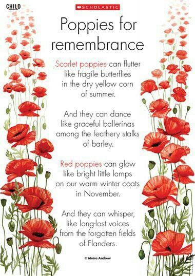 Poppies for remembrance poster | 꾸미기