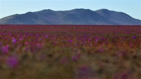 Único de Sudamérica Chile elegido como uno de los mejores destinos