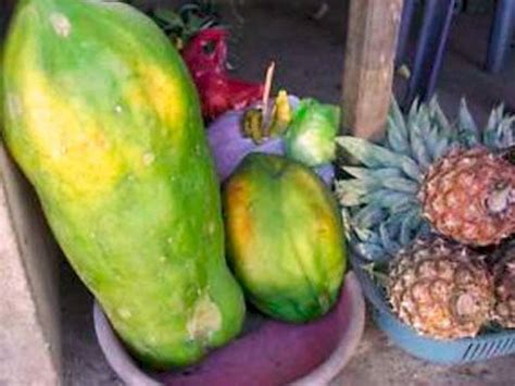 So Ar Con Papayas Gigantes