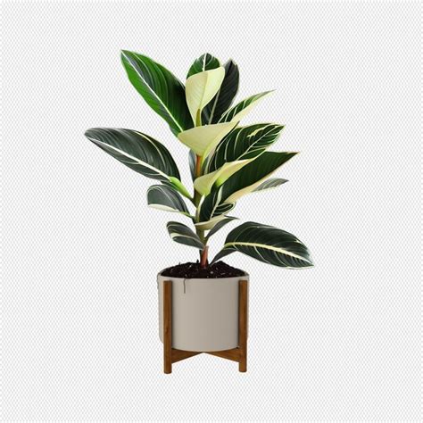 House Plant Premium Ai Generated Psd