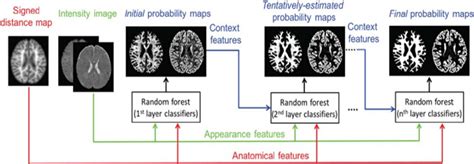 Frontiers Deep Learning Techniques For Isointense Infant Brain Tissue