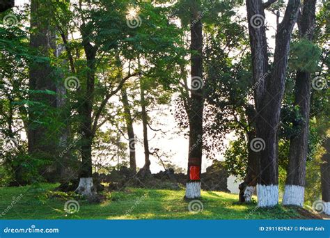 Summer Park In Hue City A Famous Cultural Tourism City In Vietnam