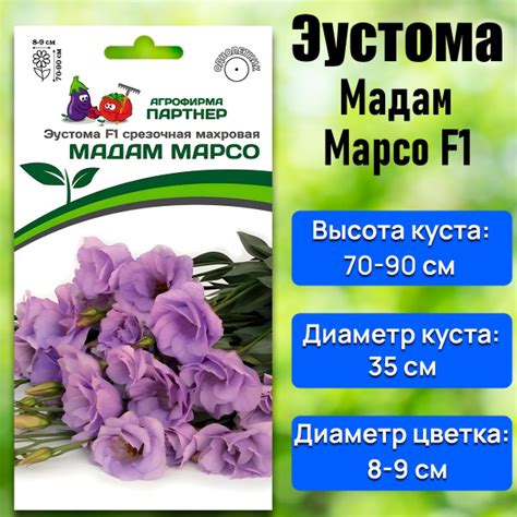 Эустомы Агрофирма Партнер Эустома - купить по выгодным ценам в интернет ...