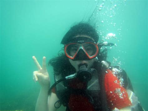 Bali Scuba Diving For Beginner Experience Getyourguide