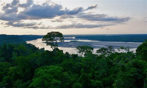 Napo River Journey Into Amazonia The Maritime Explorer