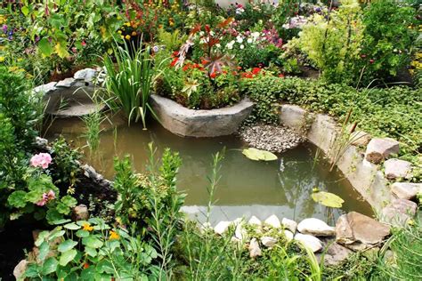 A Quick Guide To Building A Garden Pond Wildlife Gardening