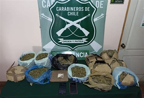 Carabineros Incauta Mil Dosis De Drogas En Azapa Avaluadas En