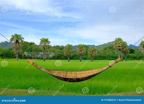 Rattan Cradle With Green Field Background Hanging Bench Seat Cradle