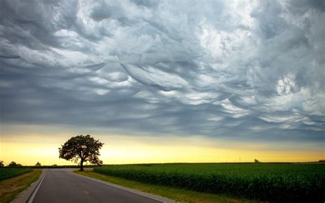 Wallpaper Sunlight Landscape Nature Sky Field Road Morning