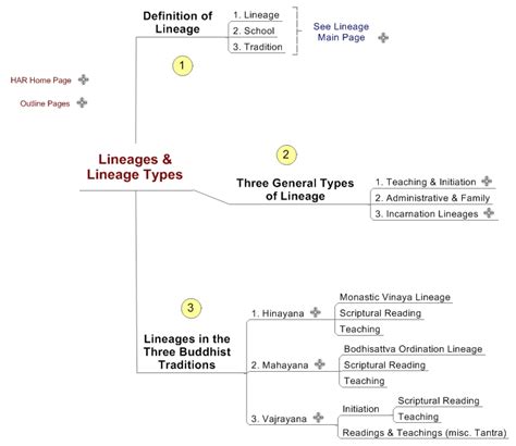 Lineages And Lineage Types