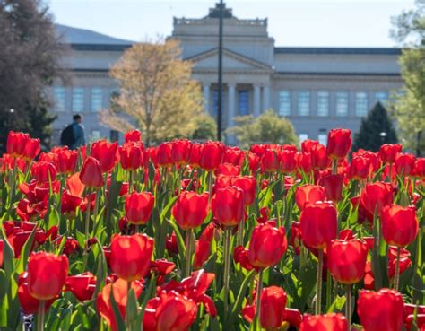 Military Veteran Residency Exceptions Admissions The University Of Utah