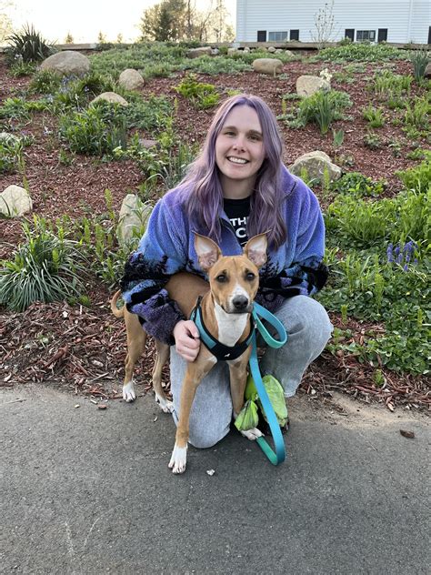 Update Your Business Hours on Google Business Profile - Google Business