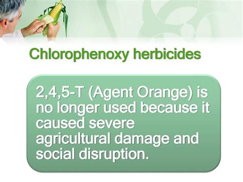 Herbicides Domina Petric Md Ppt Download