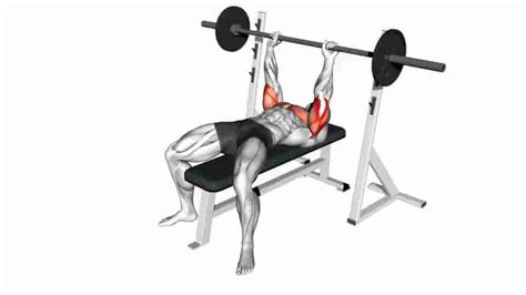 Close Grip Bench Press Video Guide Lyfta