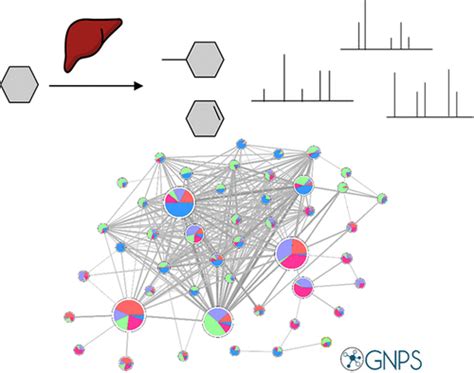 Tandem Mass Spectrometry Molecular Networking As A Powerful And Efficient Tool For Drug