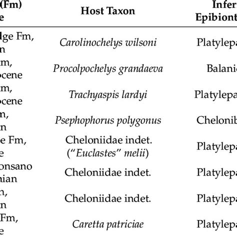 Overview Of The Occurrences Of Bone Modifications On Fossil Chelonians