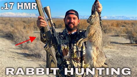 EPIC Rabbit Hunting Using 17 HMR Rifle CATCH CLEAN COOK YouTube