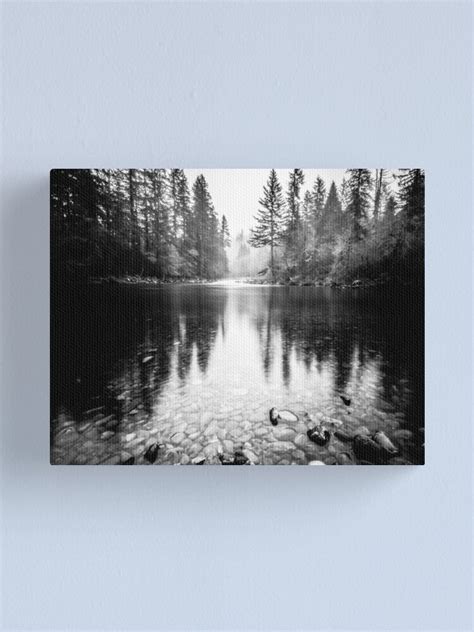 "Forest Reflection Lake - Black and White Nature Water Reflection ...