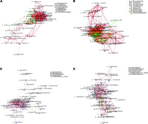 Effect Of ABA PAM On The Collinear Network Of Soil Microorganism A B