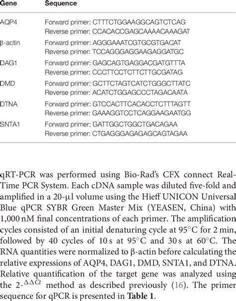 Primer Sequence For Real Time Pcr Download Scientific Diagram