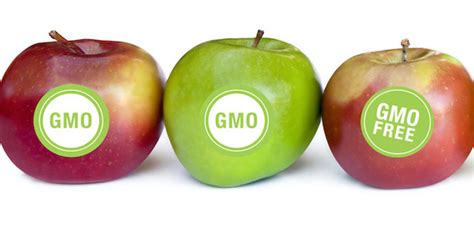 Fda Wont Make Food Companies Label Gm Plant Foods