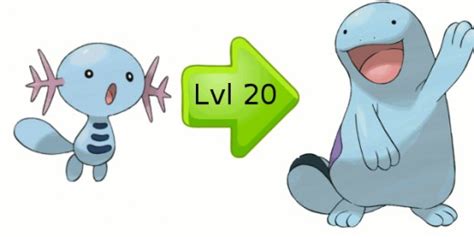 Wooper Evolution Chart