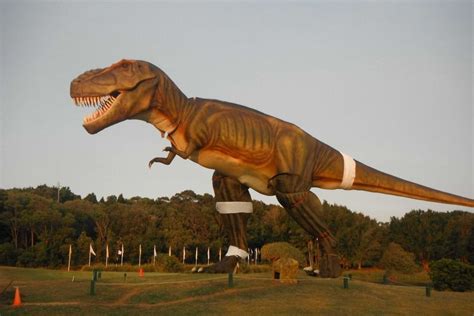 Billionaire Clive Palmer Life Size T Rex Dinosaur At His Coolum Resort