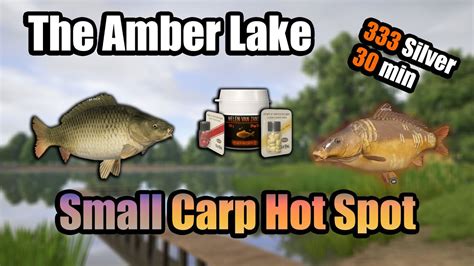 Hot Spot Active Carp In The Amber Lake Russian Fishing Rf