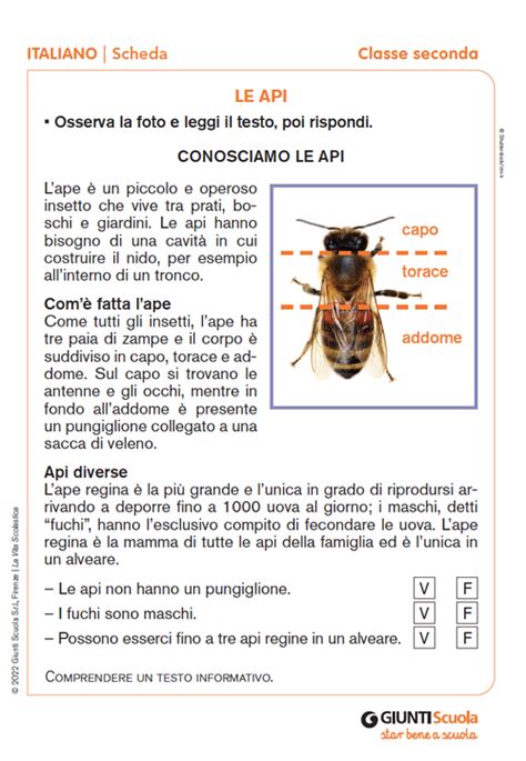 Le Api Giunti Scuola