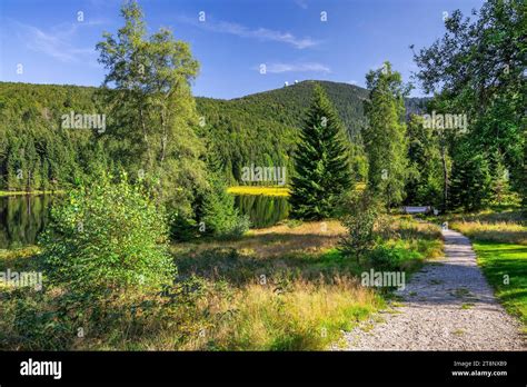 Hiking Trail In The Nature Reserve Kleiner Arbersee With Grosser Arber