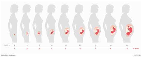 21 SSW Schwangerschaftswoche Rund Ums Baby