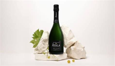 ActualitÉs Groupe Bollinger