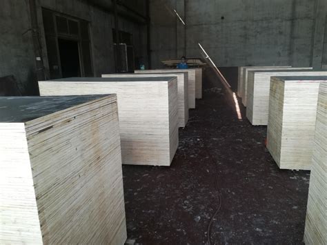 Film Faced Marine Plywood Poplar Finger Joint Plywood For Construction