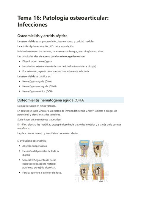 SOLUTION Tema 16 Patolog A Osteoarticular Infecciones Studypool