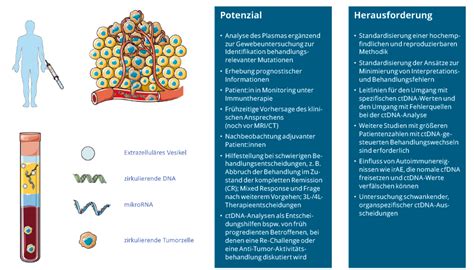 CtDNA Analysen Beim Melanom Im Adjuvanten Und Palliativen Stadium