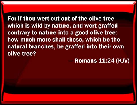 Romans 11 24 For If You Were Cut Out Of The Olive Tree Which Is Wild By