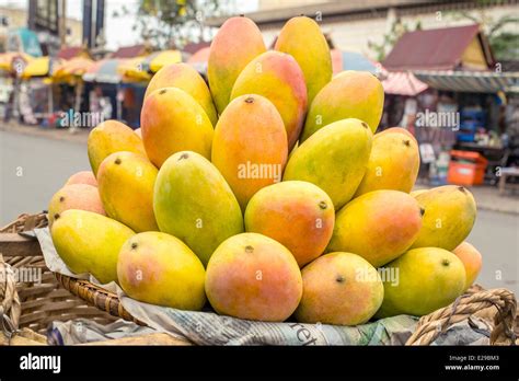 Basket Of Mangoes Hi Res Stock Photography And Images Alamy