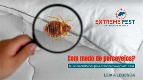 Medo De Percevejos Recomenda Es Para Evitar Percevejos