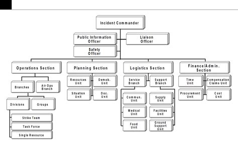 Sample Chart for ICS Organization - Edit, Fill, Sign Online | Handypdf