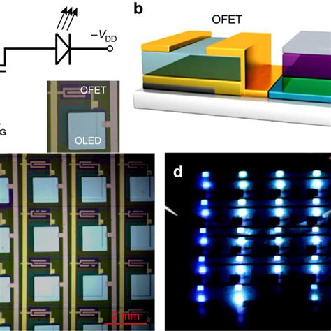 OLEDs Features Of DPA A OLEDs Based On DPA With NPB LiF And TMPYPB