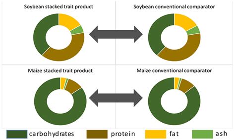 Genetically Modified Soybeans Process