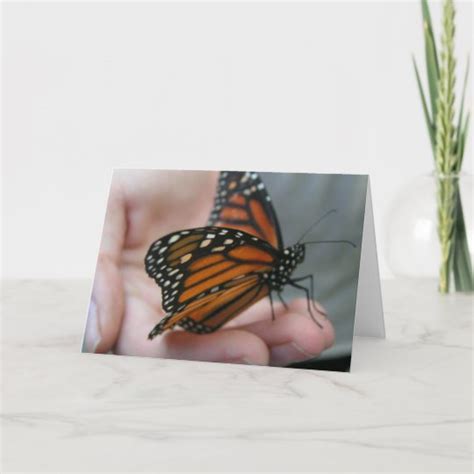 Butterfly Thank You Card | Zazzle.com